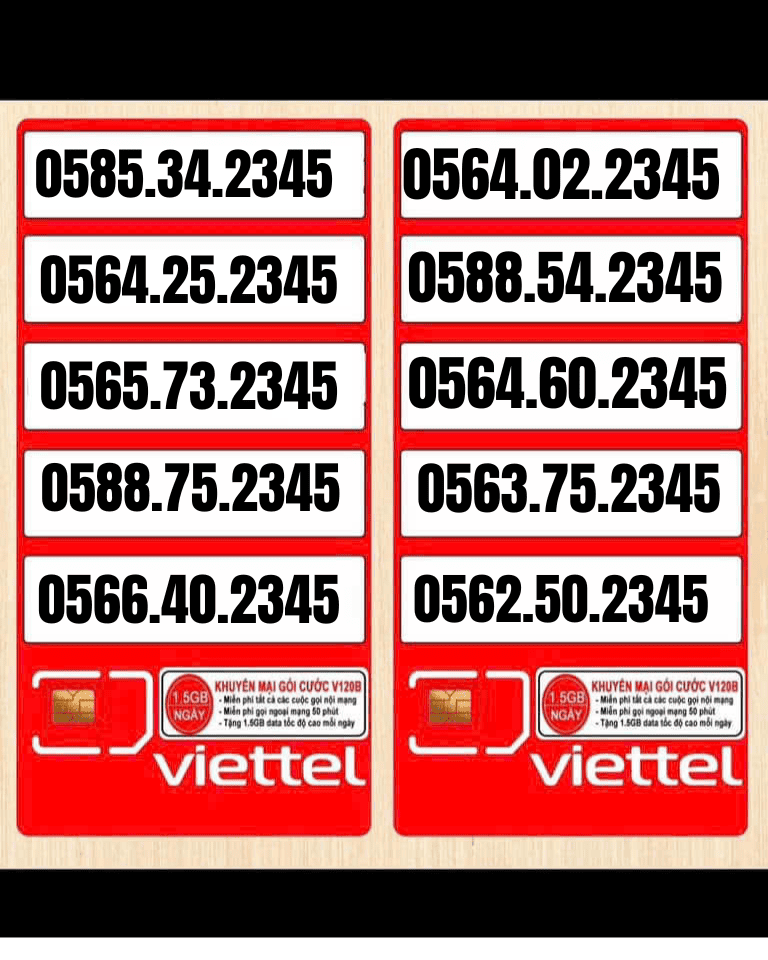 CÔNG TY TNHH TM-DV VT HOÀNG KIM