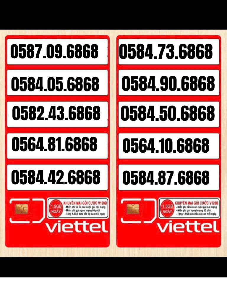 CÔNG TY TNHH TM-DV VT HOÀNG KIM