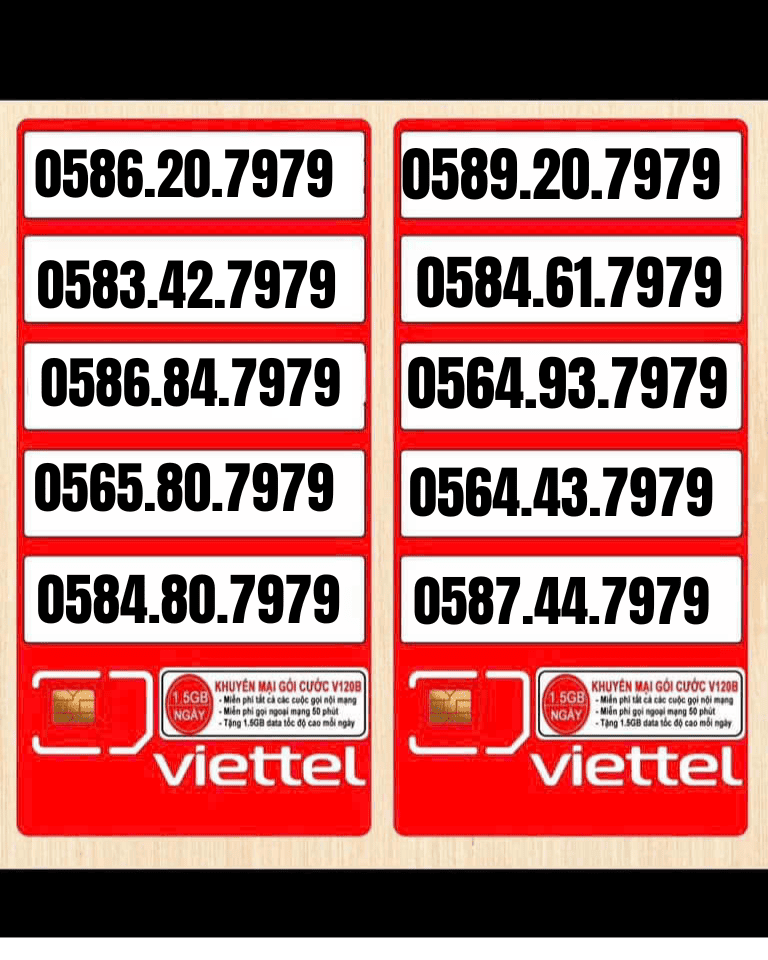 CÔNG TY TNHH TM-DV VT HOÀNG KIM