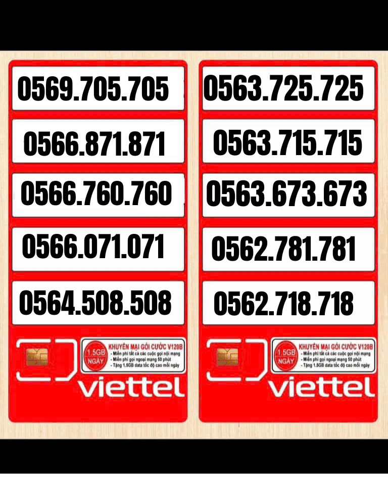 CÔNG TY TNHH TM-DV VT HOÀNG KIM