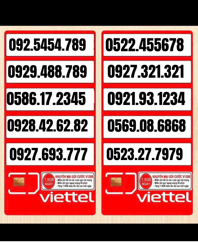 CÔNG TY TNHH TM-DV VT HOÀNG KIM